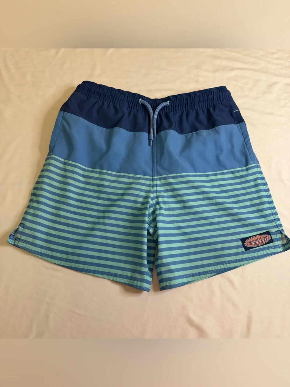 Vineyard Vines Boys Chappy Swim Trunks Blue Stripe Size Medium (12-14)
